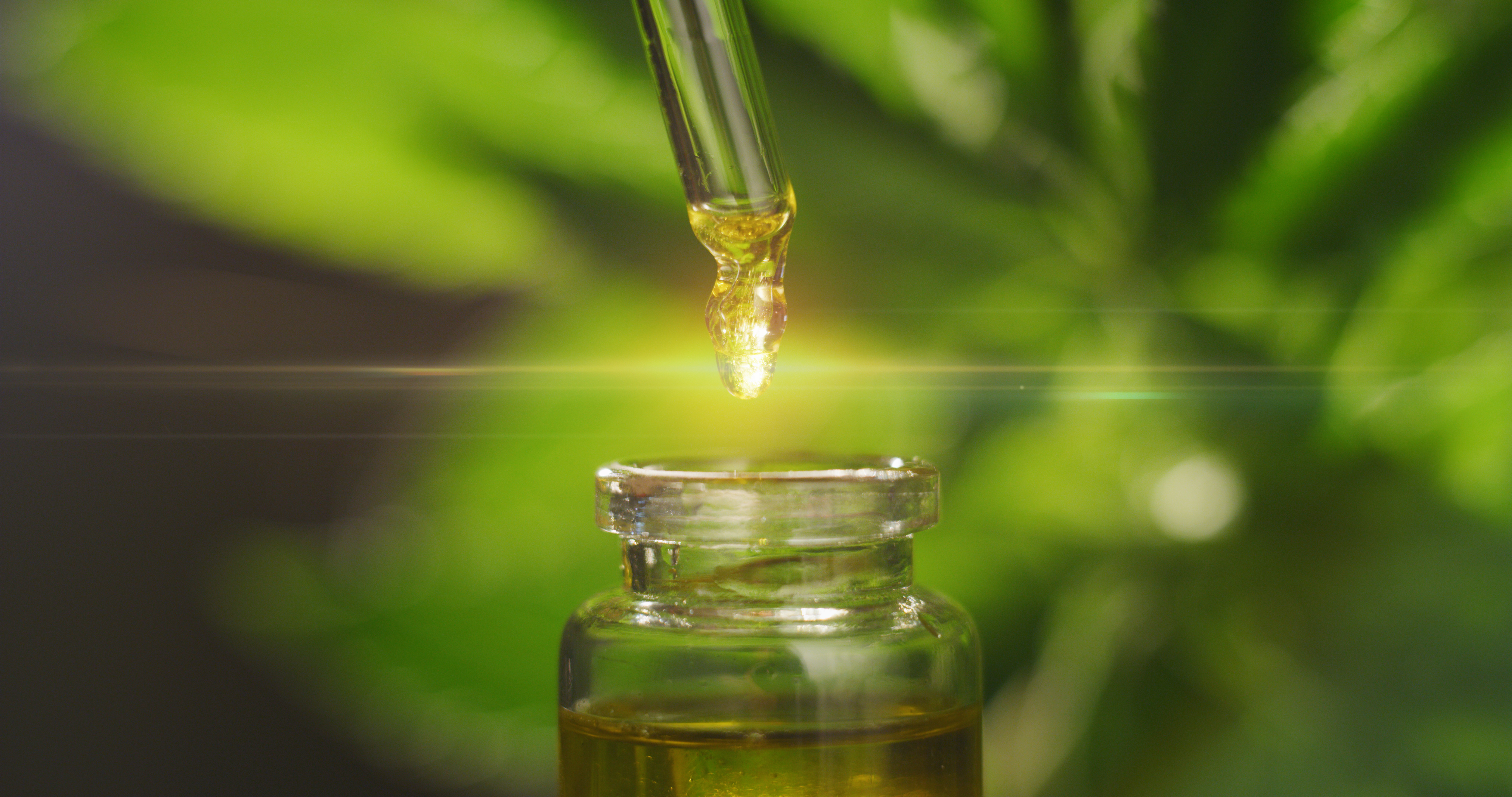 THCA vs CBD: Key Differences You Need to Know